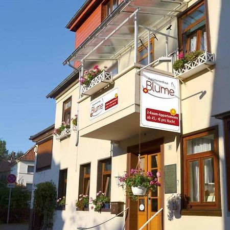 Appartementhaus Blume Bad Pyrmont Exterior foto